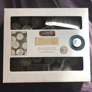 NEW 2x Apothecary 10 ft. LED String Lights